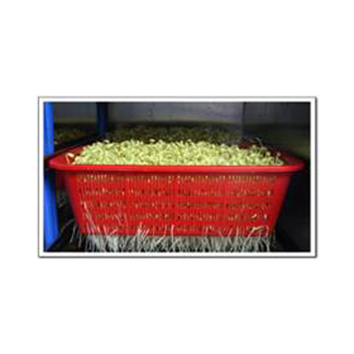 Ŭ���Ͻø� �ϴܿ� ūȭ���� ���Ǽ� �ֽ��ϴ�